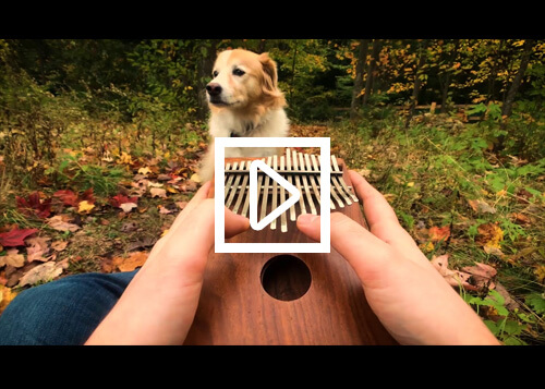 kalimba-video-thumbnail.jpg